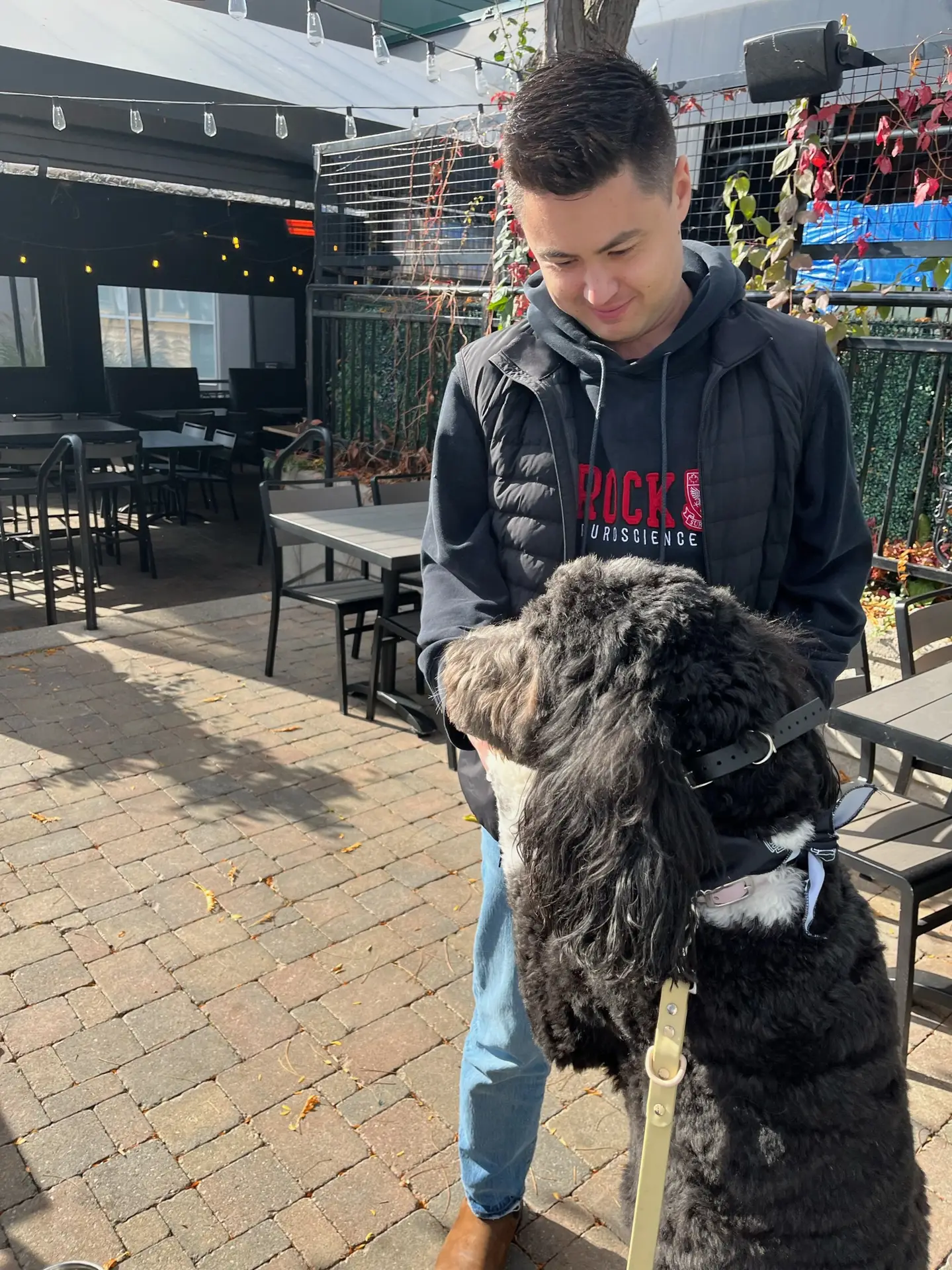 Dogs and friends at Pump House