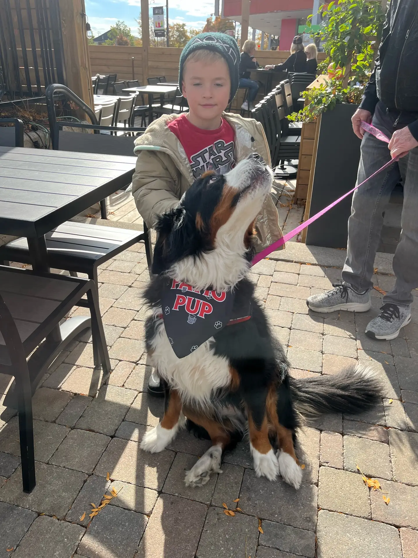 Dogs welcome at Pump House